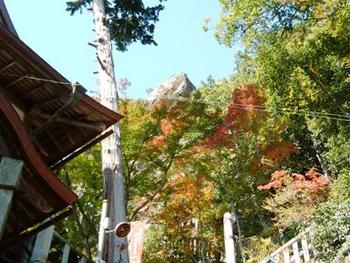 太郎坊宮の紅葉は