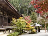 紅葉！湖東三山・金剛輪寺