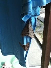 え〜〜〜っ?!　増えてる?!