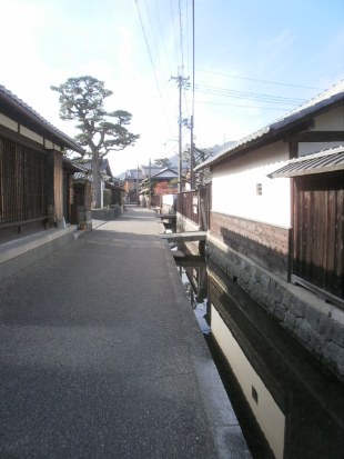 金堂町は画廊ですなあ～