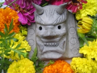 トマトの移植