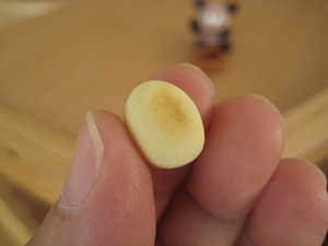 お～い、食べ物ちょうだい