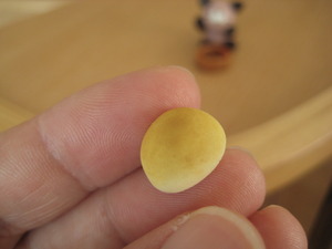 お～い、食べ物ちょうだい