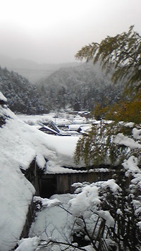 またまた雪です！