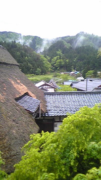 雨の杉野