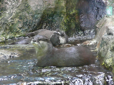 鳥羽に行ってきました