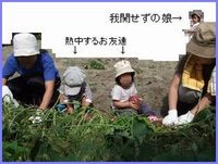 掘った芋いじるな