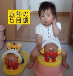 去年の５月