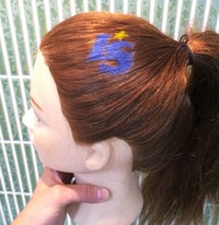 4/18･19　浜松戦＠野洲「応援ヘアアレンジ＆ネイル」ブース登場！