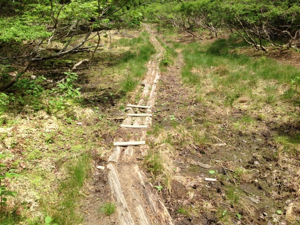 ガリバー旅行村から八淵の滝コース