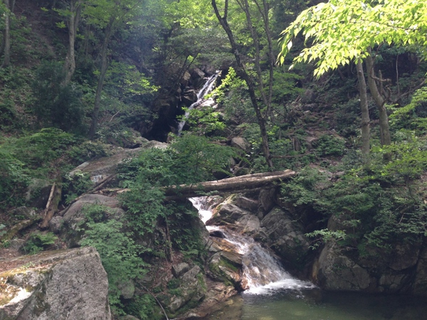 ガリバー旅行村から八淵の滝コース