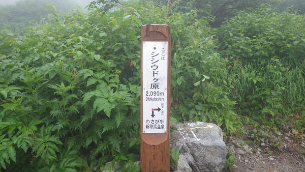 テントを背負って、秘境　雲ノ平へ　１日目