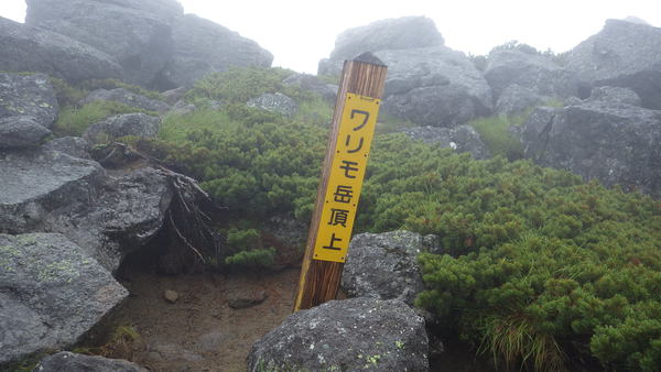 テントを背負って、秘境　雲ノ平へ　３日目