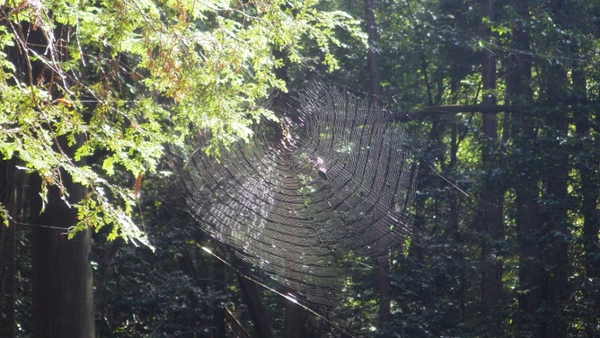 大文字山