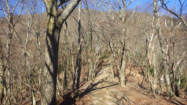 快晴の裏山登山