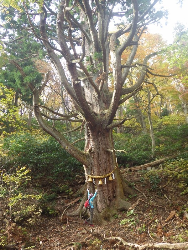 己高山と鶏足寺へ