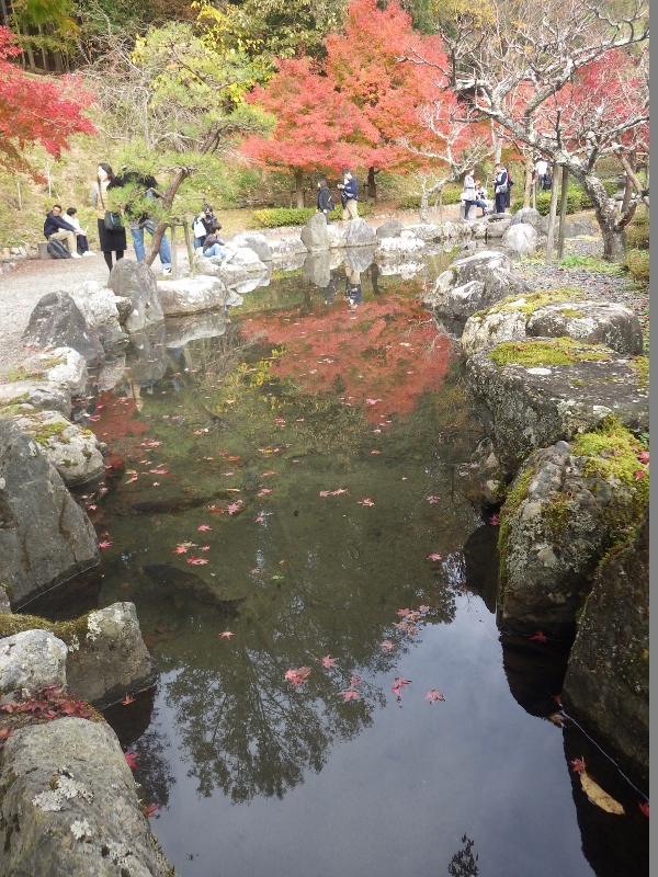 己高山と鶏足寺へ