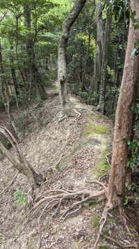 きょうのやま　その７