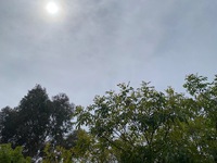 休みです。