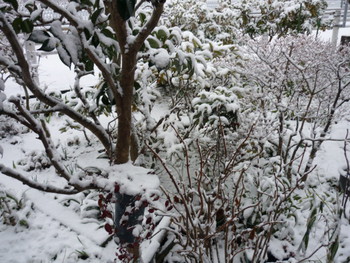 雪の正月