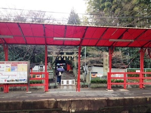今年も