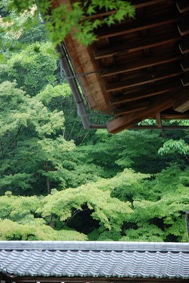 南禅寺・・・・。その６