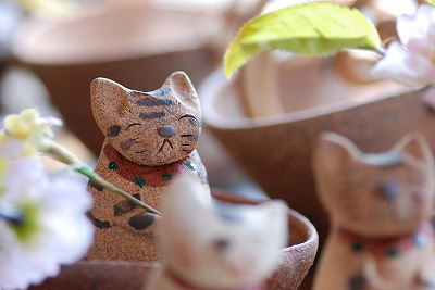 咲楽　in July・・・・。その６