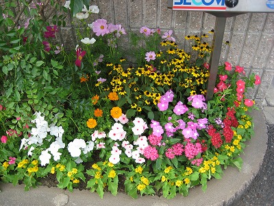 甲西にて・・・。