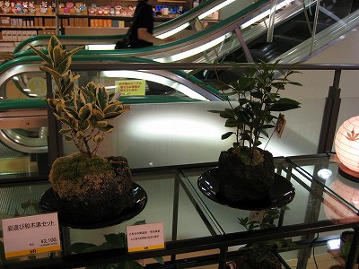 京都って・・・。