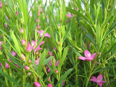 週末・・・。