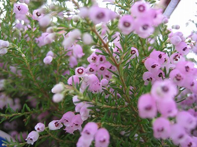 週末・・・。