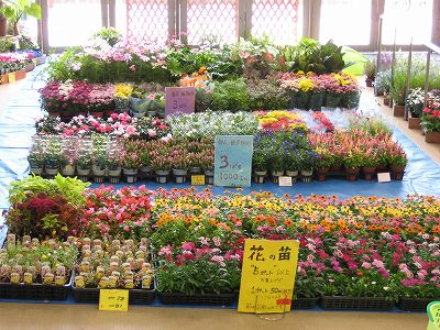 今日のトイザらス・・・。