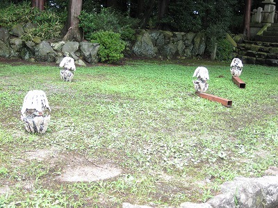 信楽にて・・・・。