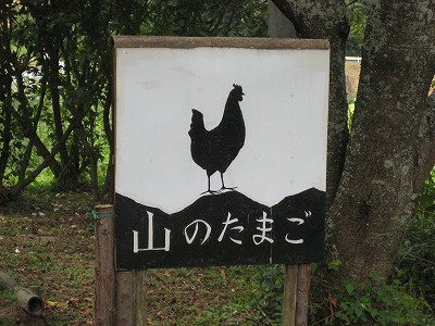 makanaiyaで一息・・・。
