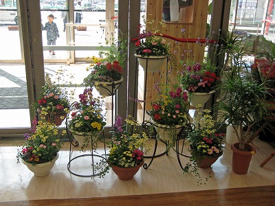 トイザラス・・・・。