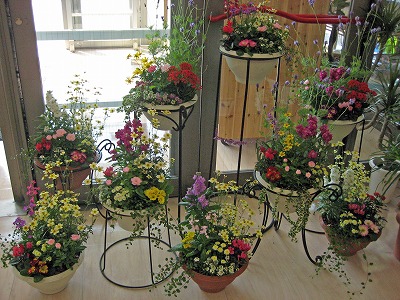 トイザラス・・・・。