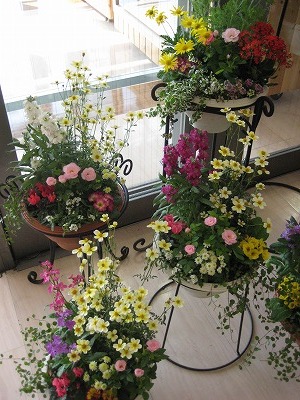 トイザラス・・・・。