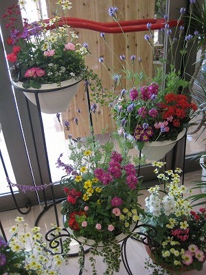 トイザラス・・・・。