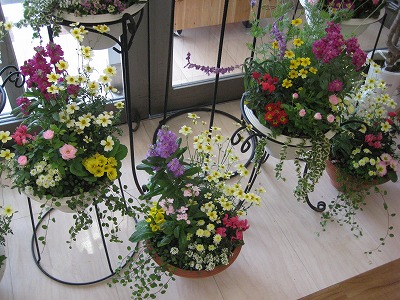 トイザラス・・・・。