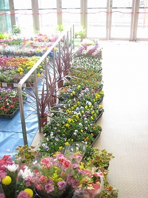 トイザラス・・・・。