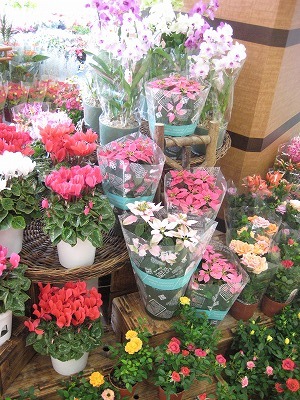 トイザラス・・・・。