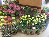 トイザラス・・・・。