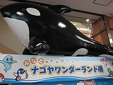 水族館・・・。