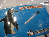 水族館・・・。