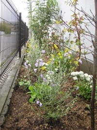 花単語録　基本から・・・・。土についてその１