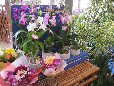 明日は、くらふと＊びより・・・・。