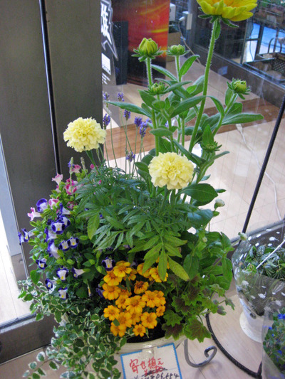 寄せ植え・・・。