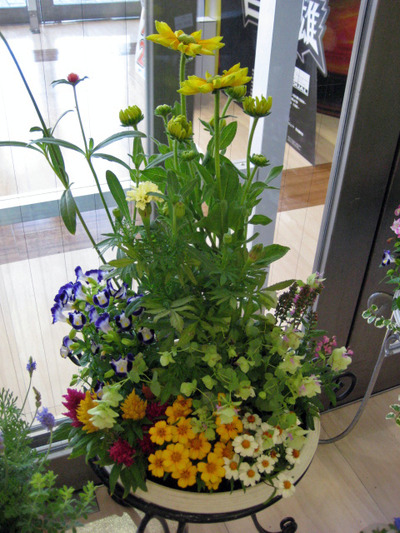 寄せ植え・・・。