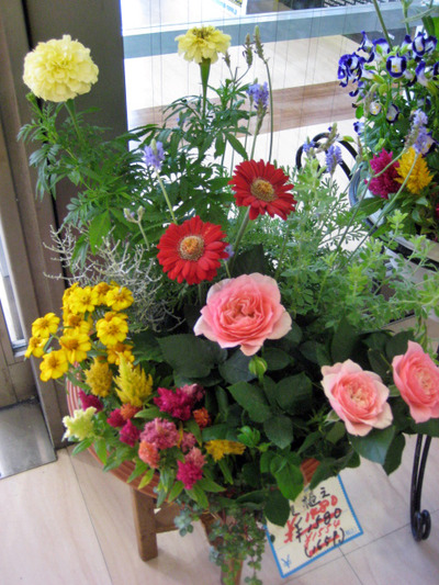 寄せ植え・・・。