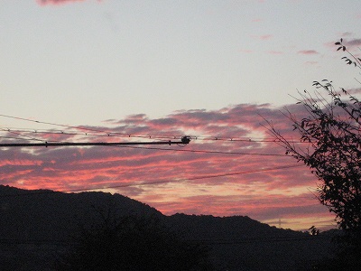 夕日・・・・。